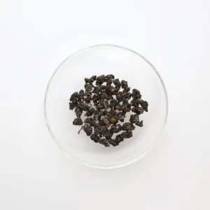 LOT009. 타이동 동정오룡 23春
