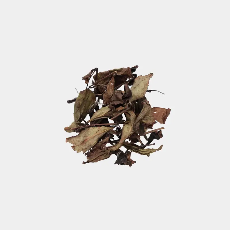 LOT026. 무제 001 건차
