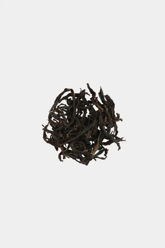 LOT114. 프로토타입 등차 건차