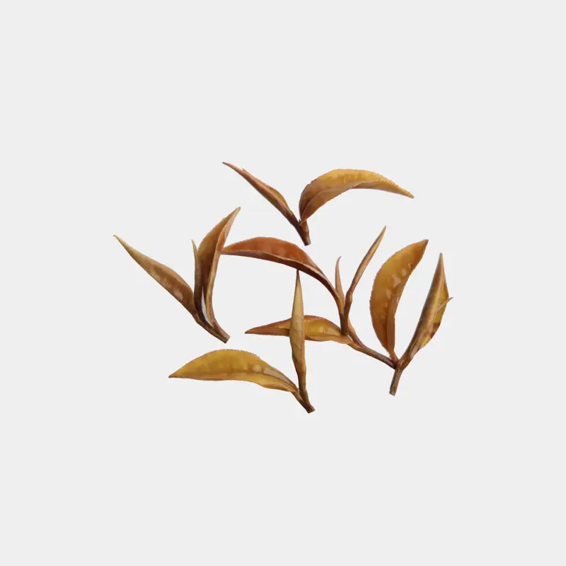 LOT124. 일월담 홍운 백차 24冬 엽저