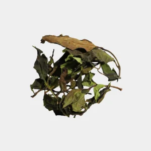 LOT199. 운남 단주 백차🟢🔵⚫