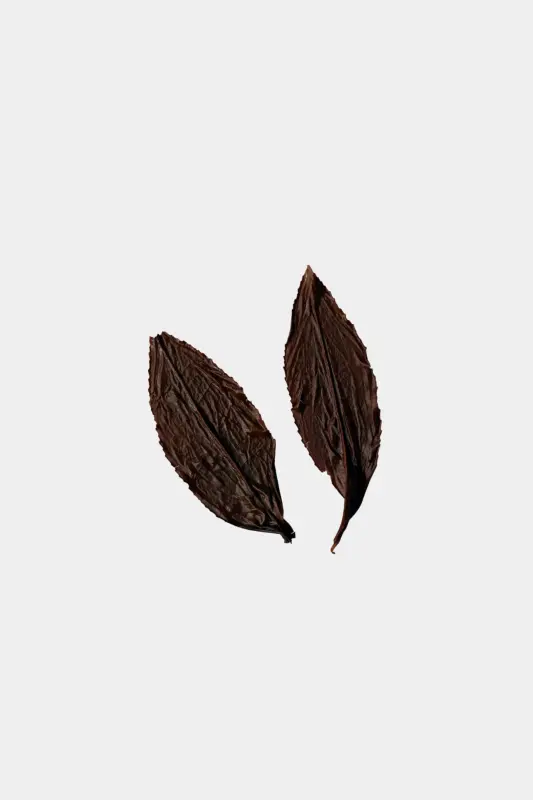 LOT209. 삼림계 기운 홍차 엽저