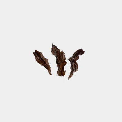 BISA009. 목책철관음 두등장 23冬5
