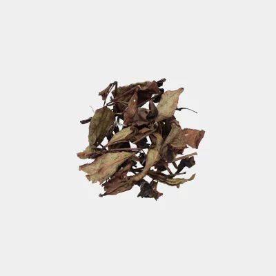 LOT026. 무제 001 건차