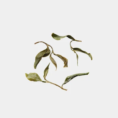 LOT065. 장공륜산 녹차 24春 엽저