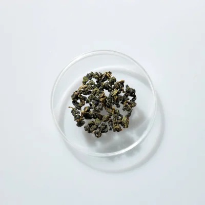 LOT079. 홍향 24春 건차